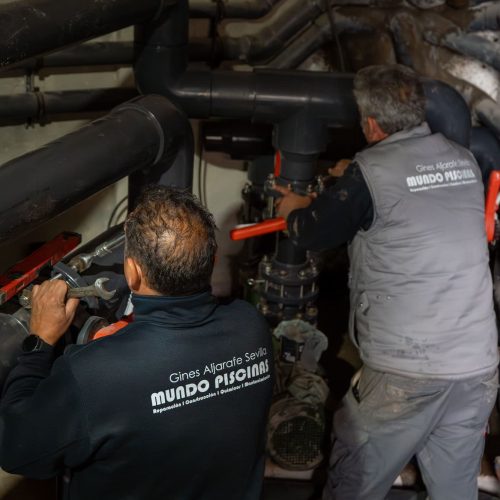 _A744902-Mejorado-NR-min (1)